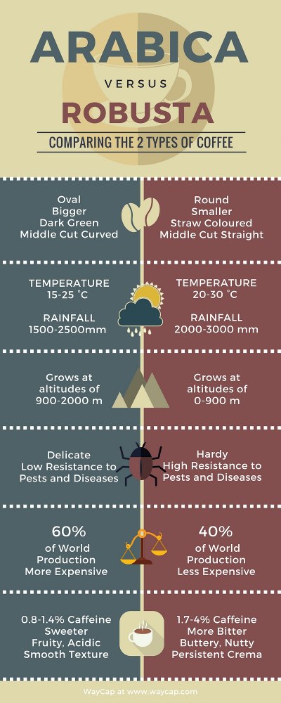 Diferenças entre Robusta e Arábica