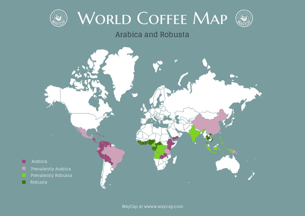 the-coffee-belt